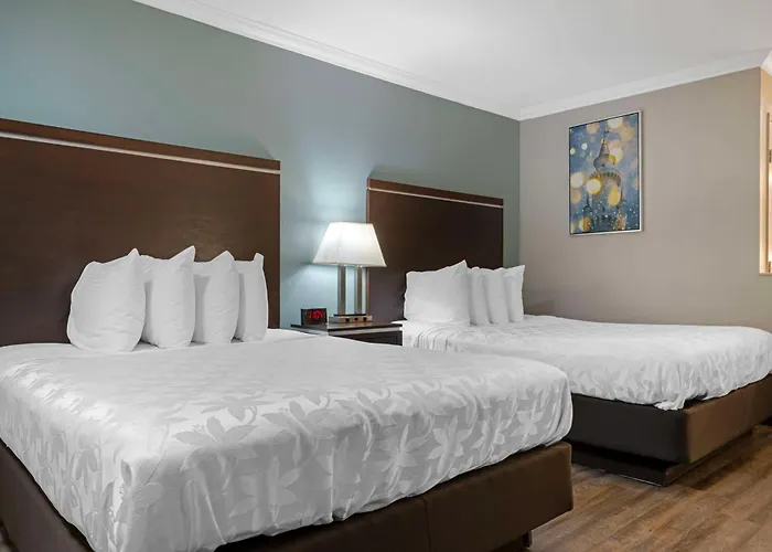 Best Western Courtesy Inn Hotel - Anaheim Resort At The Park